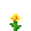 #minecraft:small_flowers