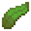 minecraft:kelp