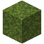 minecraft:moss_block