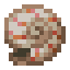minecraft:nautilus_shell