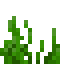 minecraft:seagrass
